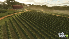 Catuaí Map Preview - Beans & Alpacas Expansion