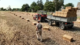 INCREASE your REALISM By 40 Levels in FS25